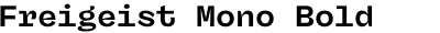 Freigeist Mono Bold